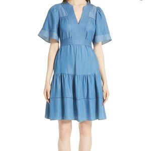 Indigo Railroad Dress